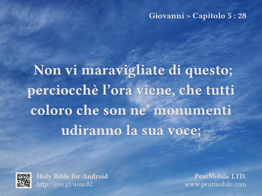 Giovanni, Capitolo 5:28